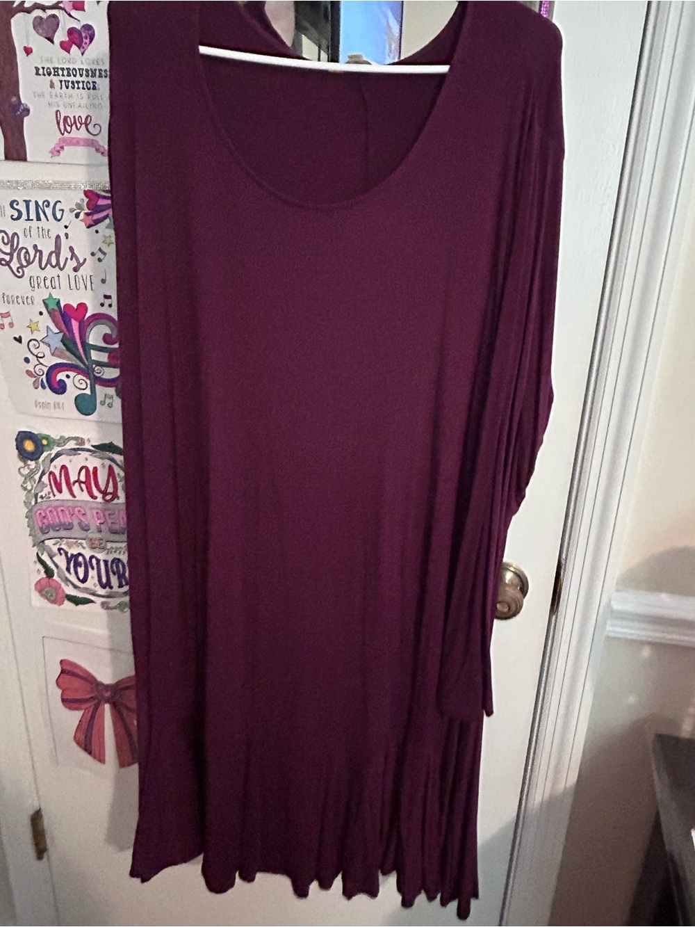 Terra & Sky Plum Long Sleeve Swing Dress